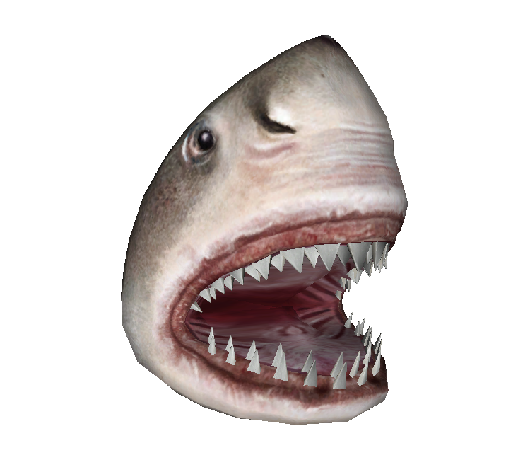 Shark Simple English Wikipedia the free encyclopedia #30 Shark Simple English Wikipedia the free encyclopedia
